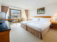 Hilton Guest Room Plus - Danube River view