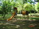 Tiliana Garden