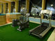 Finess room