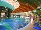 Aqua-Palace tr&oacute;pusi f&uuml;rdő