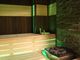 Biosauna