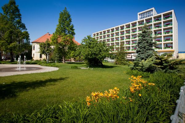 Arany Homok Business és Wellness Hotel, Kecskemét